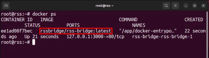 Um terminal mostrando o contêiner RSS-Bridge Docker funcionando corretamente.