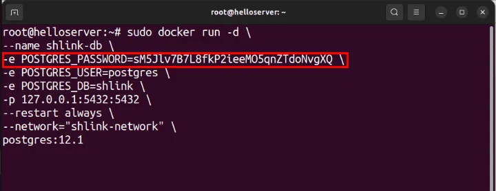 Een terminal die een willekeurig PostgreSQL DB-wachtwoord toont.