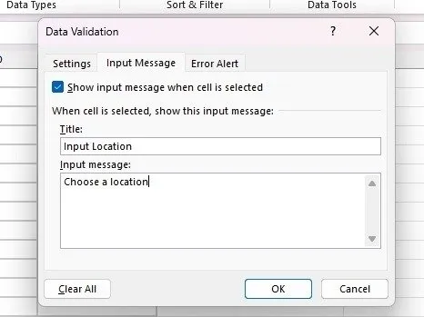 Excel でユーザーをガイドするメッセージを入力します。