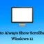 Windows 11 でスクロールバーを常に表示する方法