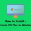 Cómo instalar Chrome OS Flex en Windows 11