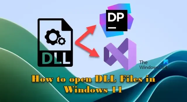 Hoe DLL-bestanden te openen in Windows 11