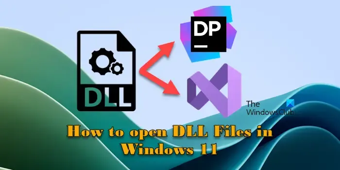 So öffnen Sie DLL-Dateien in Windows 11