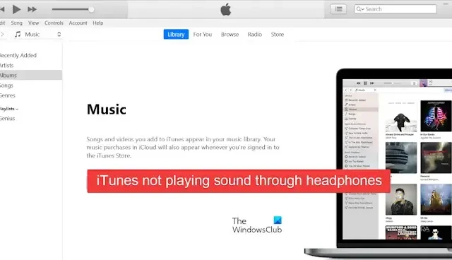 iTunes 無法在 Windows 11 上透過耳機播放