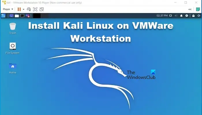 instalar Kali Linux en la estación de trabajo VMWare
