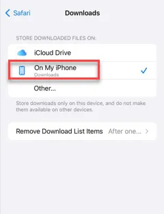 Safari가 iPhone에서 파일을 다운로드하지 못함: 수정 방법