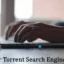 Quais são os sites populares de mecanismos de pesquisa de torrent?