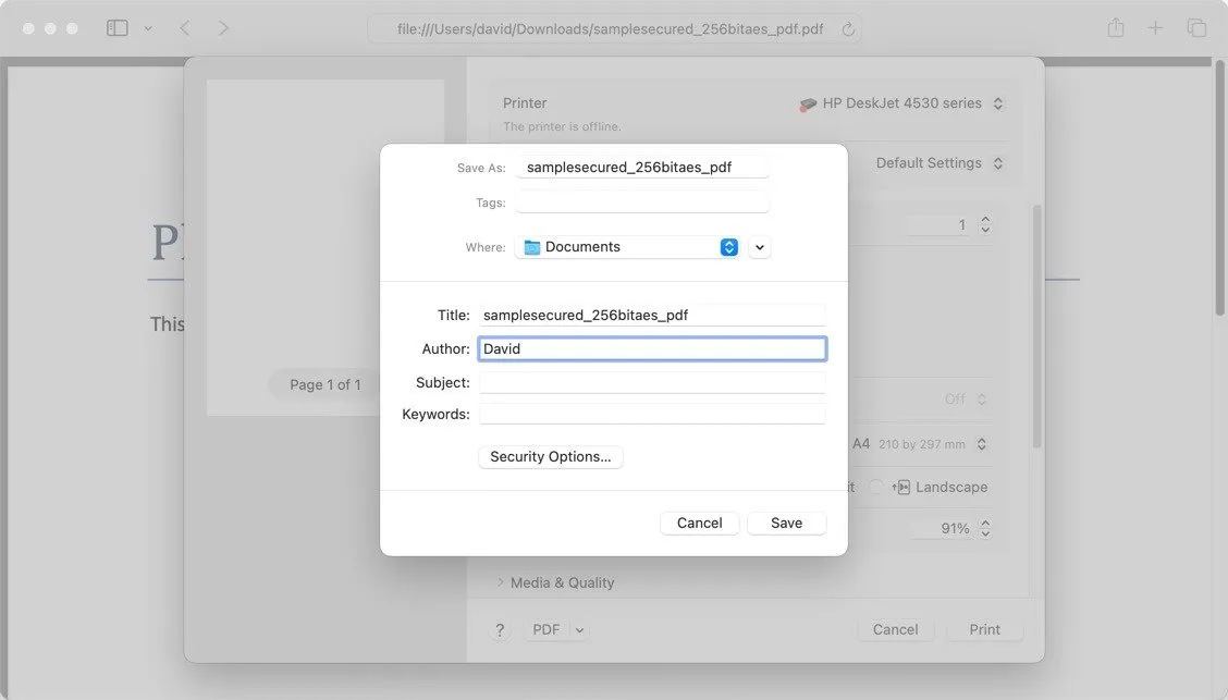 PDF-Datei auf dem Mac drucken - Speicherort speichern
