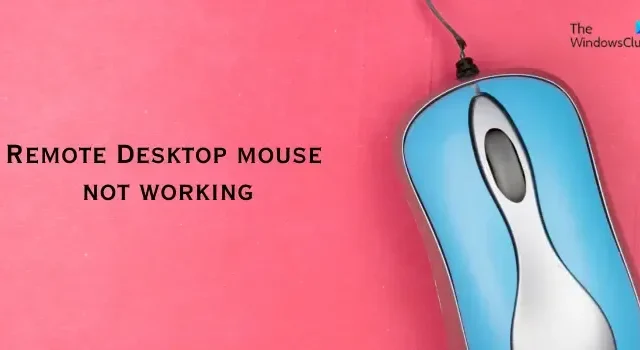 O mouse da área de trabalho remota não funciona [Correção]