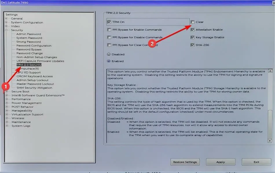 TPM-Menü, TPM löschen, Windows 11