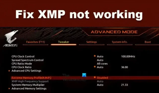So beheben Sie, dass XMP auf einem Windows-Computer nicht funktioniert