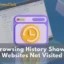 O histórico de navegação mostra sites não visitados