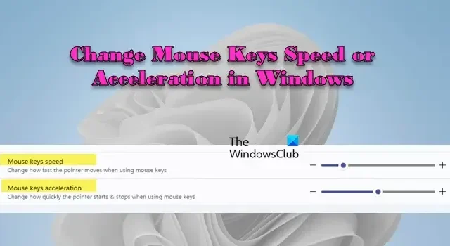 Wijzig de snelheid of versnelling van de muistoetsen in Windows 11