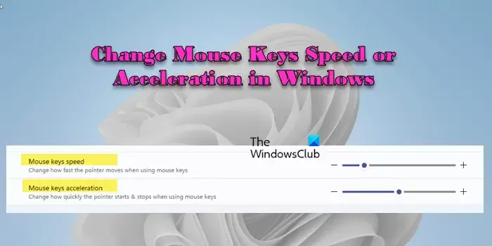 在 Windows 中變更滑鼠鍵速度或加速度