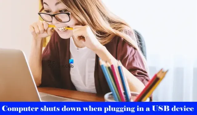 Il computer si spegne quando si collega un dispositivo USB
