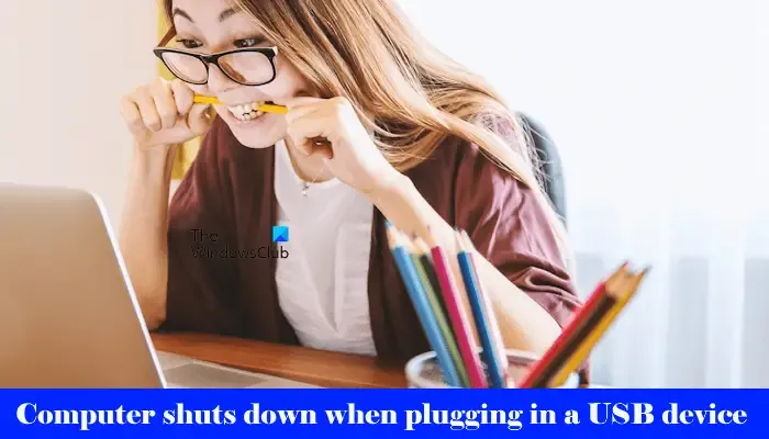 Il computer si spegne quando si collega l'USB