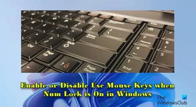 Habilite o deshabilite el uso de las teclas del mouse cuando el bloqueo numérico esté activado en Windows 11