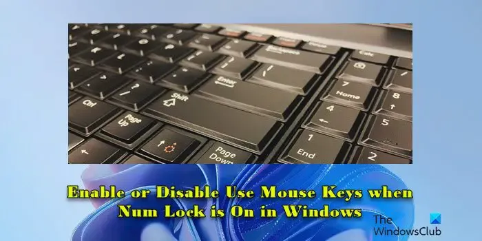 啟用或停用 Num Lock 開啟時使用滑鼠鍵