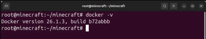 Een terminal die laat zien dat de Docker-daemon correct werkt op de machine.