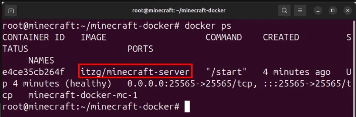 Un terminale che mostra il contenitore Minecraft in esecuzione correttamente sul server.