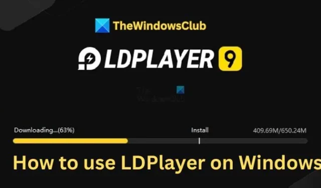 Hoe gebruik ik LDPlayer 9 op Windows 11?