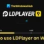 Como usar o LDPlayer 9 no Windows 11?