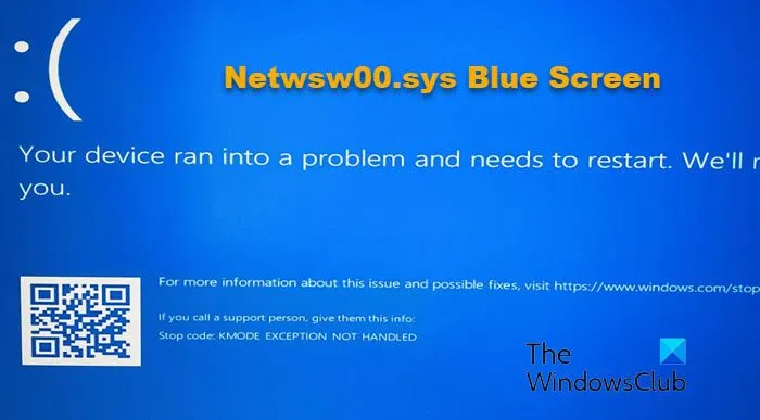Netwsw00.sys blauw scherm