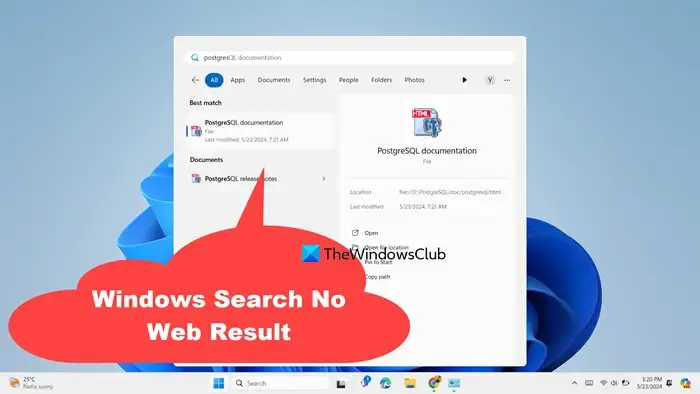 Recherche Windows Aucun résultat Web