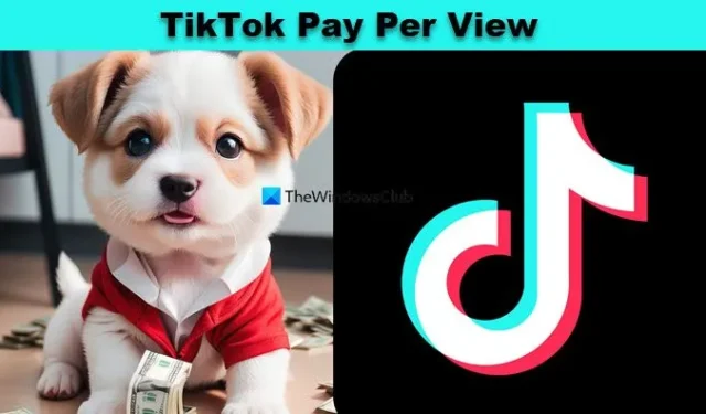 인기 크리에이터에게 TikTok Pay Per View는 얼마입니까?