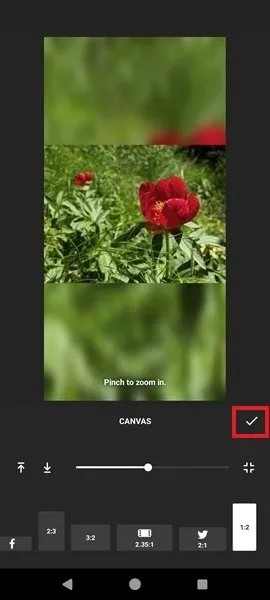 Obraz w widoku płótna w aplikacji InShot.