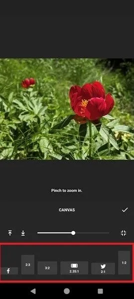 Sélection d'une taille de toile dans l'application InShot.