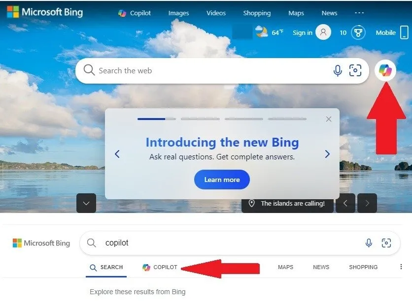 Página de búsqueda de Bing con el icono de Copilot resaltado. Debajo hay una búsqueda de Bing con el filtro Copilot resaltado.