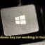 Il tasto Windows non funziona nel gioco in Windows 11