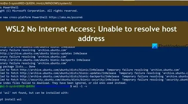 WSL2 Kein Internetzugriff; Hostadresse kann nicht aufgelöst werden