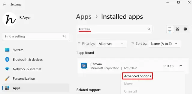 Windows 11의 카메라 고급 옵션