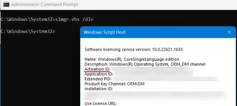 Windows 호스트 스크립트에서 활성화 ID 복사