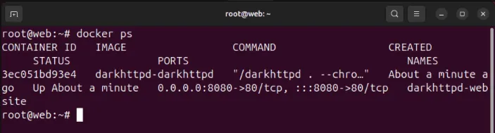 Terminal pokazujący kontener Docker darkhttpd działający w systemie.