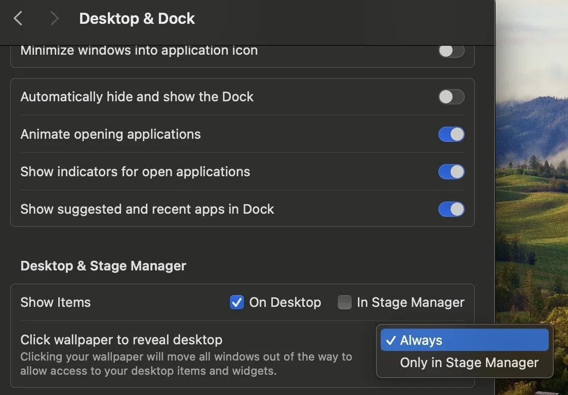Desktop- und Dock-Einstellungen Mac