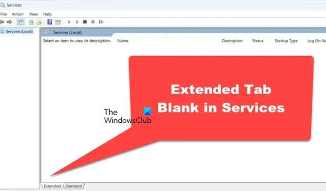 A guia Exibição estendida de Serviços está em branco no Windows 11