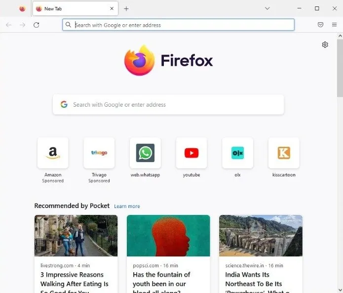 Capture d'écran de la fenêtre de Mozilla Firefox