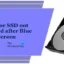 HDD ou SSD não detectado após tela azul [Correção]