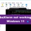 MobaXterm não funciona no Windows 11