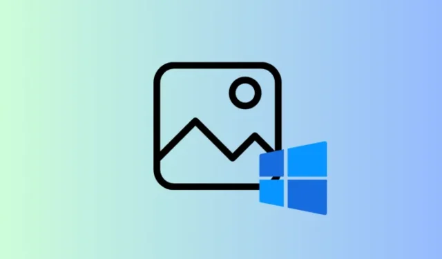 Windows Foto ottiene lo zoom dinamico, porta in primo piano le informazioni su presentazione, condivisione e metadati