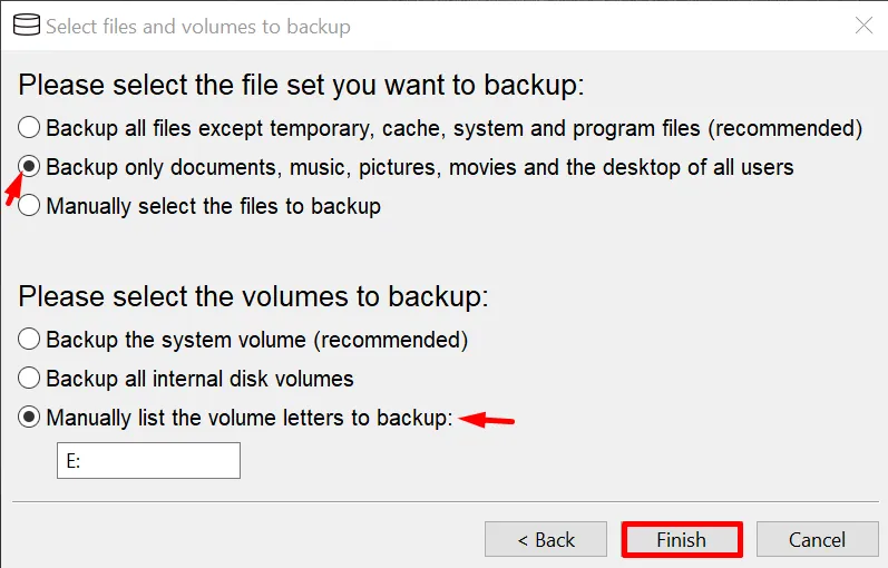 vous devez sélectionner les options Fichiers et volumes pour la sauvegarde du client Windows, puis appuyer sur le bouton Terminer.