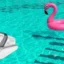 Maak uw zwembad op een gemakkelijke manier schoon met een SMOROBOT zwembadreinigingsrobot