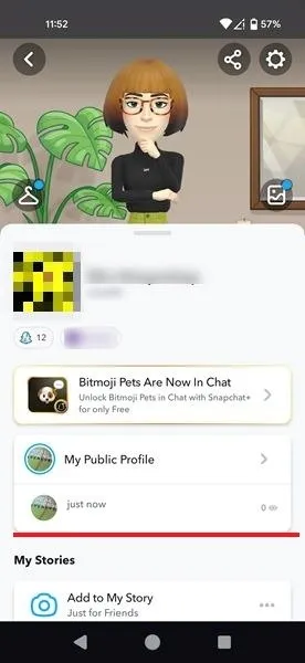 Spotlight hinzugefügt, sichtbar unter „Mein öffentliches Profil“ in der Snapchat-App.