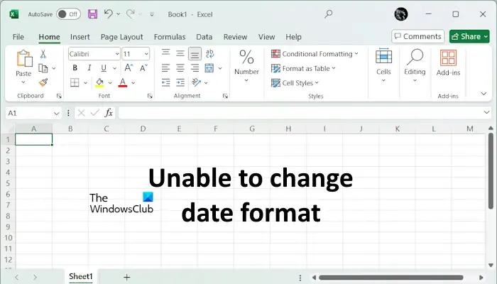 Não é possível alterar o formato de data do Excel