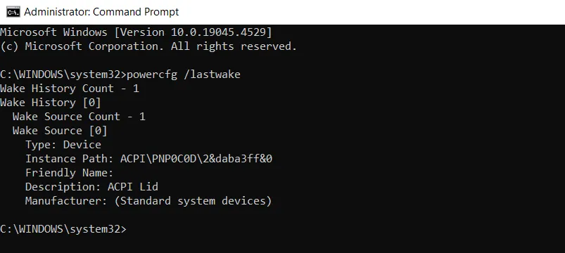 Wake Request Command Prompt