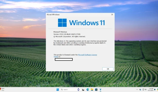 Windows 11 KB5039312 Beta fügt der Suche eine Schaltfläche zum Teilen und mehr hinzu