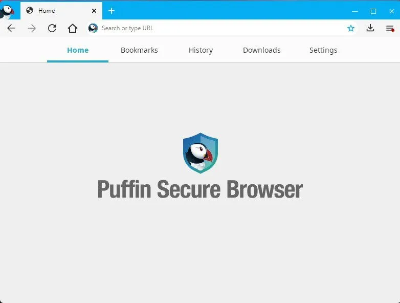 Page de démarrage sur Puffin Secure Browser.